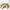 Kate Spade KS Desert Muse Rabbit Hilli Sling Bag photo 5