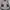 Vest sherpa carhartt photo 7