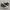 [Sz 37-44]Original Converse CT All Star 70S High Black White photo 6