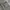 Indivi Parka Jacket Multi Pocket photo 6