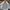 Indivi Parka Jacket Multi Pocket photo 1