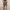 Slit Skirt Grey photo 4
