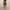 Slit Skirt Grey photo 5