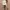 Silk Mini Skirt White photo 1