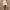 Silk Mini Skirt White photo 3
