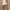 Silk Mini Skirt White photo 4