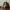 adidas Originals Handball Spezial 'Court Green' photo 1