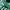 adidas Originals Handball Spezial 'Court Green' photo 2