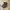 Dickies Double Knee Cellpo Loose Fit Charcoal photo 4