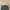 Dickies Double Knee Cellpo Loose Fit Charcoal photo 5