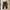 Dickies Double Knee Cellpo Loose Fit Black photo 2