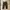 Dickies Double Knee Cellpo Loose Fit Black