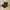 Dickies Double Knee Cellpo Loose Fit Black photo 1