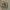 One Piece Volume 95 – 100% BARU dan Masih Segel  photo 1