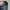 Topi Official Merchandise BTS Original 2019 Bulan 10 photo 4