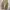 Vtg Polo RL-67 Ralph Lauren MFG Cargo Pants photo 2