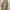 Vtg Polo RL-67 Ralph Lauren MFG Cargo Pants