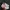 New Balance Gorpcore Lolita Sneakers Wanita White Pink