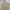 Dickies Streetwear Casual Casual pants Pria cream photo 2