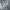 Hoodie American Eagle AFitch 1893 photo 6