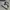 Nike Air Jordan photo 2