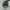 Nike Air Jordan photo 4