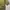 DC Shoes Vintage Streetwear Sweater Pria green photo 4