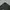 Basic Windbreaker by Nush Sport photo 5