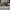 Adidas Superstar Multi Color Trifoil  photo 3