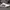 Adidas Entrap Low 