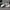Reebok EZVN  photo 3