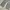 CELANA CARPENTER MAISO MINED PANTS JEANS photo 3