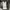 CELANA CARPENTER MAISO MINED PANTS JEANS photo 5
