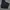 Dickies double knee photo 1