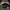Jacket Outdoor California Republic Waterproof not gorpcore photo 7