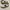 Gucci Shoes photo 1