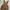 CELANA OVERALLS LEATHER TARGA JAPAN photo 7