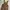 CELANA OVERALLS LEATHER TARGA JAPAN photo 2