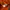 Basic Longsleeve Orange by Birkenstock photo 5