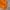 Basic Longsleeve Orange by Birkenstock photo 3