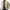 Uniqlo Zip Up Blouson Duck Canvas Detroit Work Jacket photo 3