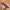 Y2K Belt Purple photo 3