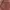 NEW Colorbox Light Pink Babydoll Top photo 3