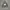 Hoodie Beaumont Carr Camo photo 1