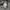 Hoodie Beaumont Carr Camo photo 5