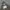 Hoodie Beaumont Carr Camo photo 3