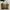 Tas Burberry One Handle Slingbag Classic Vintage Original 