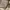 Dressterior Back Sateen Cargo Pants photo 5