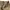 Dressterior Back Sateen Cargo Pants photo 3
