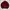 Luna & Rose Casual Track jacket Pria red photo 2